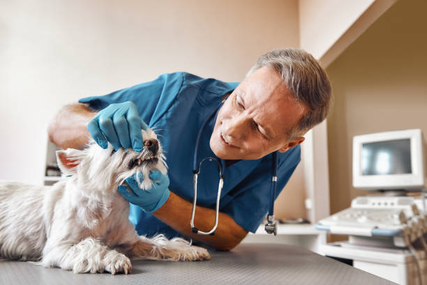 Best Emergency Tooth Extraction in Rochester Institute Of Technology, NY